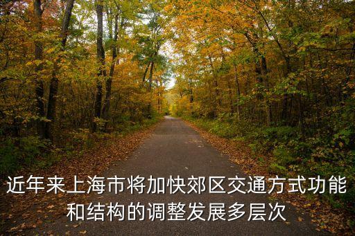 上海市政策研究室陳明峰，外省市學(xué)生怎樣在上海學(xué)習(xí)和中考