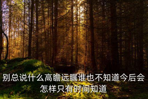 別總說什么高瞻遠矚誰也不知道今后會怎樣只有時間知道