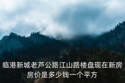 上海市臨港房價均價，臨港新城老蘆公路江山路樓盤現(xiàn)在新房房價是多少錢一個平方