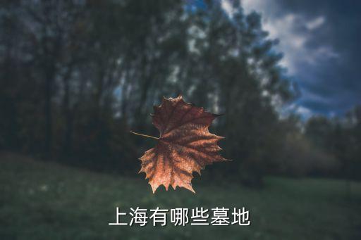 上海市所有 墓園，上海有哪些墓地