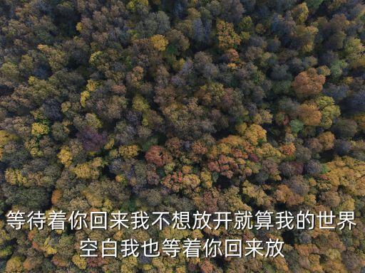 等待著你回來我不想放開就算我的世界空白我也等著你回來放