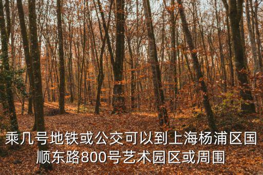 乘幾號地鐵或公交可以到上海楊浦區國順東路800號藝術園區或周圍
