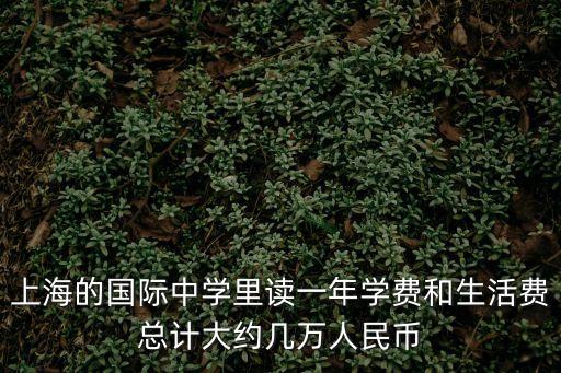 上海的國際中學里讀一年學費和生活費總計大約幾萬人民幣