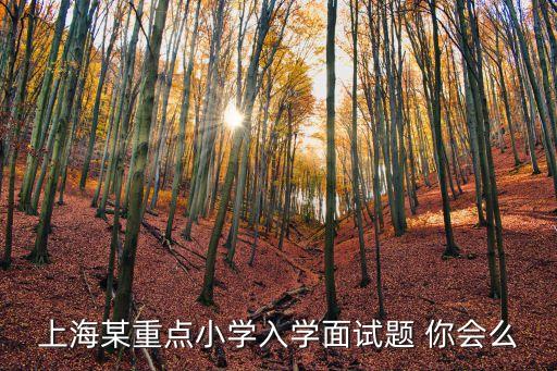 上海某重點(diǎn)小學(xué)入學(xué)面試題 你會(huì)么