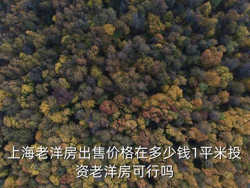 上海市富民路洋房房價(jià)，上海市中心最新新房房價(jià)