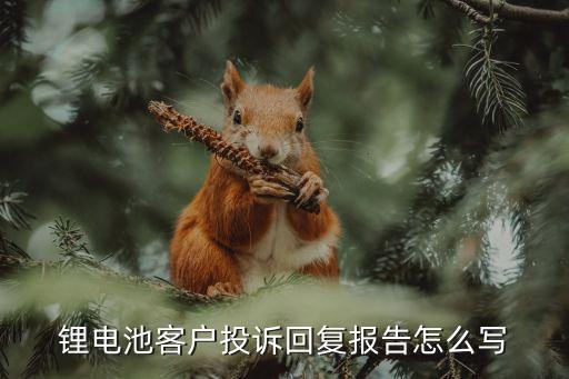 投訴回復范文，客人通過旅游局便民服務電話投訴酒店酒店處理完了以后需要回復