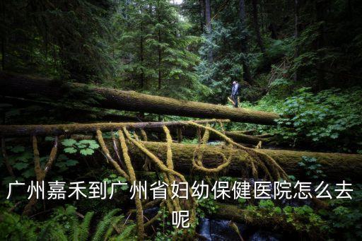 廣州嘉禾怎么到省婦幼，廣州嘉禾到廣州省婦幼保健醫院怎么去呢