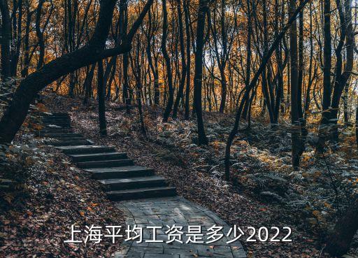 上海市個人年收入平均多少，上海平均工資是多少