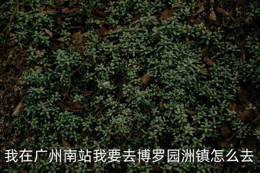 我在廣州南站我要去博羅園洲鎮怎么去