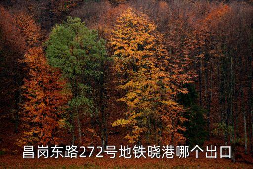 廣州8號線曉港屬于哪里，你好請曉港新村車站是在廣州的什么位置呢