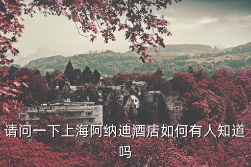 上海市阿迪納酒店，請問一下上海阿納迪酒店如何有人知道嗎