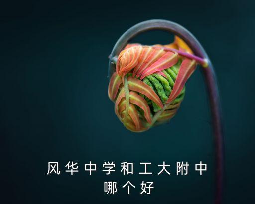 上海市風(fēng)華初級(jí)中學(xué)是區(qū)重點(diǎn)，風(fēng) 華 中 學(xué) 和 工 大 附 中 哪 個(gè) 好