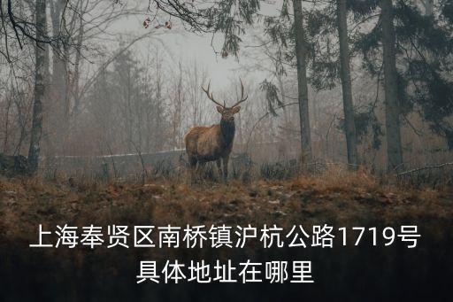 上海市奉賢區法制教育基地，想知道 上海市 上海市奉賢莘奉公路195號 在哪