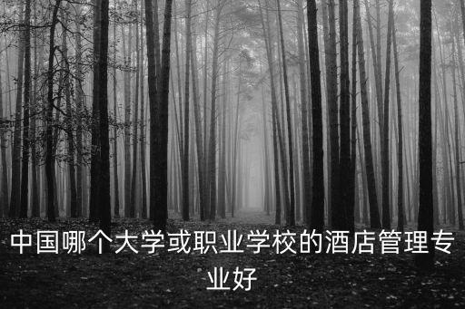 上海市商貿旅游學校 阮毅，有開涉外禮儀專業的高校
