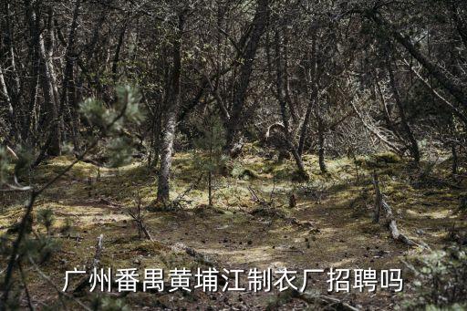 廣州番禺區(qū)流水線制衣廠招工，廣州番禺黃埔江制衣廠招聘嗎