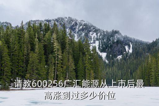 請教600256廣匯能源從上市后最高漲到過多少價位
