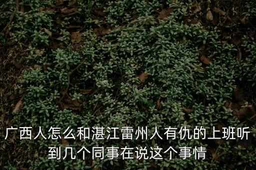 廣西人怎么和湛江雷州人有仇的上班聽到幾個同事在說這個事情