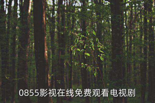 0855影視在線免費觀看電視劇