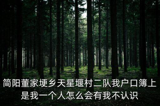 天星閣，我的尋仙等級已達到29級了我突然發現自己的名字下方顯示天星