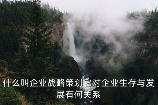 戰略策劃，戰略策劃的核心是什么
