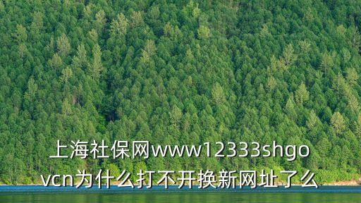 上海市社保網上自助經辦平臺官網，人力資源和社會保障自助