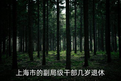 上海市區(qū)委書記可以做到幾歲退休，上海市的副局級干部幾歲退休