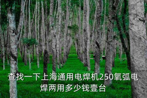 查找一下上海通用電焊機250氧弧電焊兩用多少錢壹臺