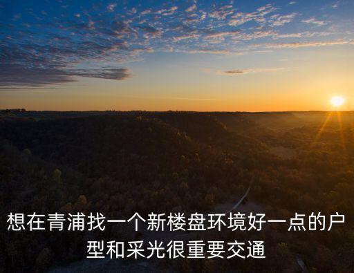上海市青浦新盤，青浦靠大虹橋那邊有些什么樓盤呀最好是精裝的誰推薦一下呢