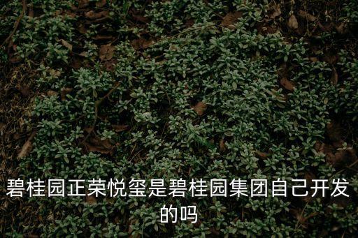 碧桂園正榮悅璽是碧桂園集團自己開發的嗎