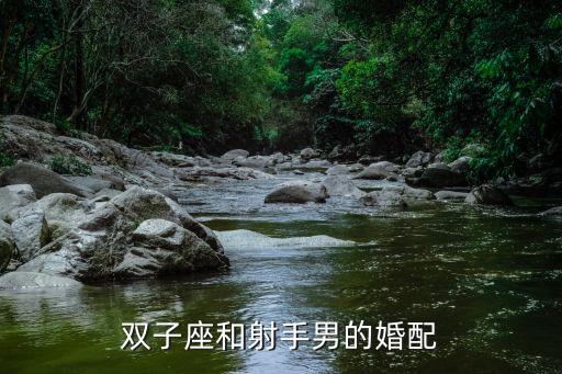 射手男和雙子女，雙子座和射手男的婚配