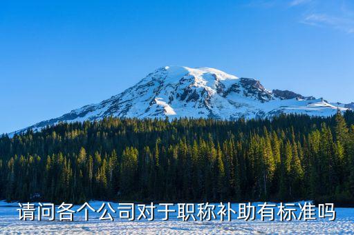 廣州物聯(lián)網(wǎng)職稱補貼，請問各個公司對于職稱補助有標(biāo)準(zhǔn)嗎