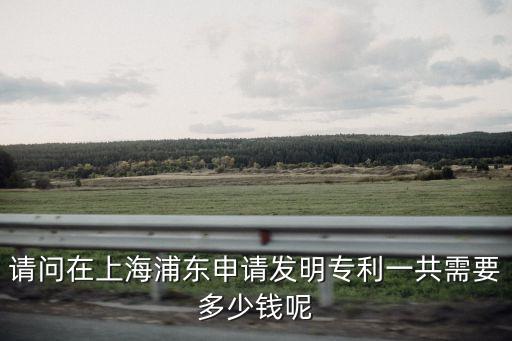 請(qǐng)問(wèn)在上海浦東申請(qǐng)發(fā)明專利一共需要多少錢呢