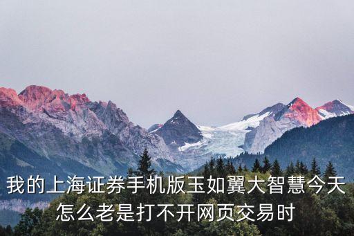 我的上海證券手機版玉如翼大智慧今天怎么老是打不開網頁交易時