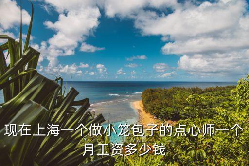 上海市包子工招聘，現在上海一個做小籠包子的點心師一個月工資多少錢