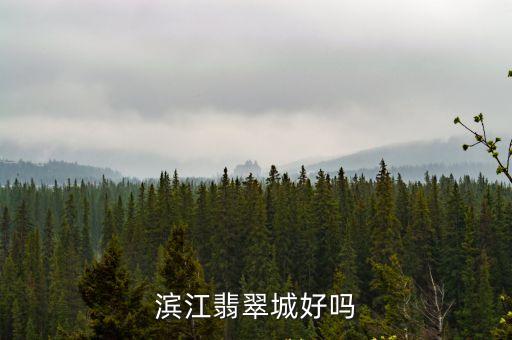 濱江翡翠城好嗎
