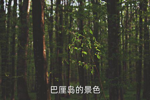 巴厘島的景色