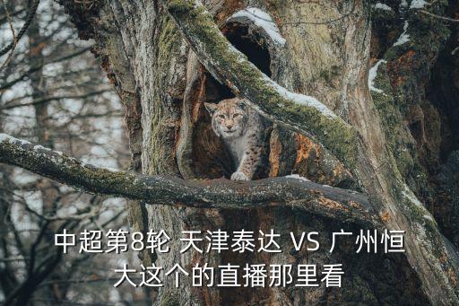 中超對廣州恒大直播，中超第8輪 天津泰達 VS 廣州恒大這個的直播那里看