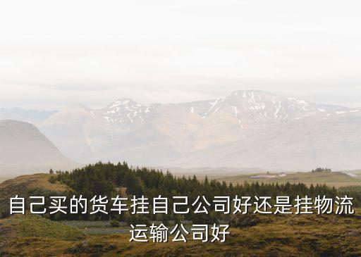 上海市明知車物流，購買走私車違法嗎