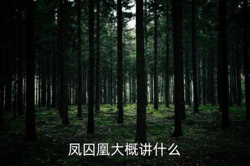 鳳囚凰劇情介紹，鳳囚凰大概講什么