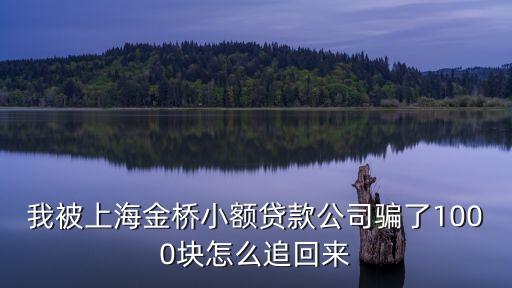 上海市金橋集團陳恩華，我被上海金橋小額貸款公司騙了1000塊怎么追回來