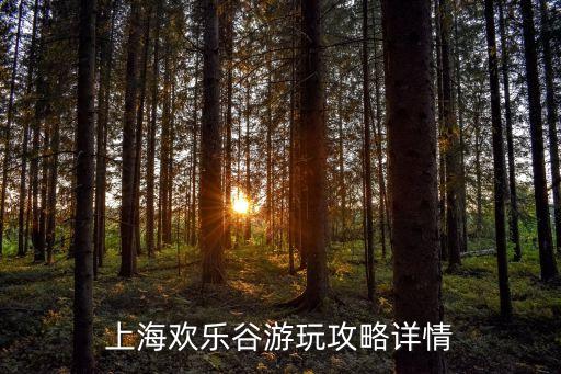 上海市歡樂谷旅游，上海歡樂谷游玩攻略