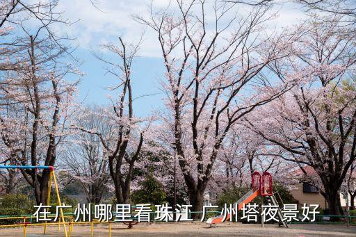 廣州塔晚上哪里夜景好看，廣州哪里夜景最漂亮 能看到完整廣州塔