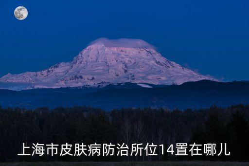 上海市雪野二村地址，長清北路雪野二路屬于上海浦東新區哪個鎮
