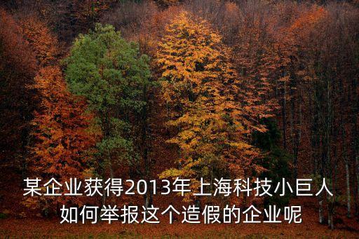 某企業(yè)獲得2013年上海科技小巨人 如何舉報這個造假的企業(yè)呢