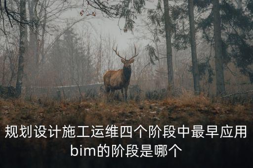 規劃設計施工運維四個階段中最早應用bim的階段是哪個