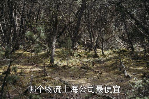 哪個物流上海公司最便宜