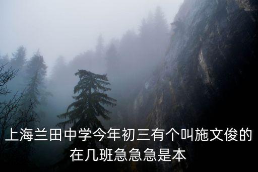 上海市蘭田中學分班，上海蘭田中學今年初三有個叫施文俊的在幾班急急急是本