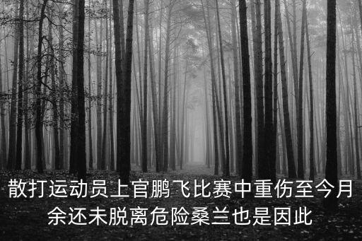 散打運動員上官鵬飛比賽中重傷至今月余還未脫離危險桑蘭也是因此