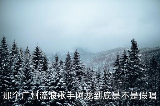 廣州流浪歌手阿龍聯(lián)唱47分鐘，那個廣州流浪歌手阿龍到底是不是假唱