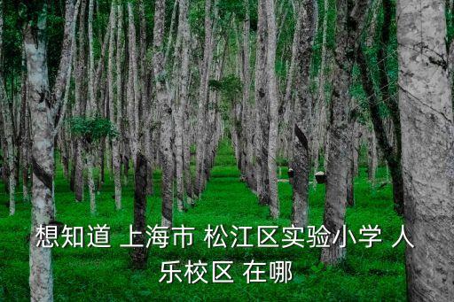 想知道 上海市 松江區實驗小學 人樂校區 在哪